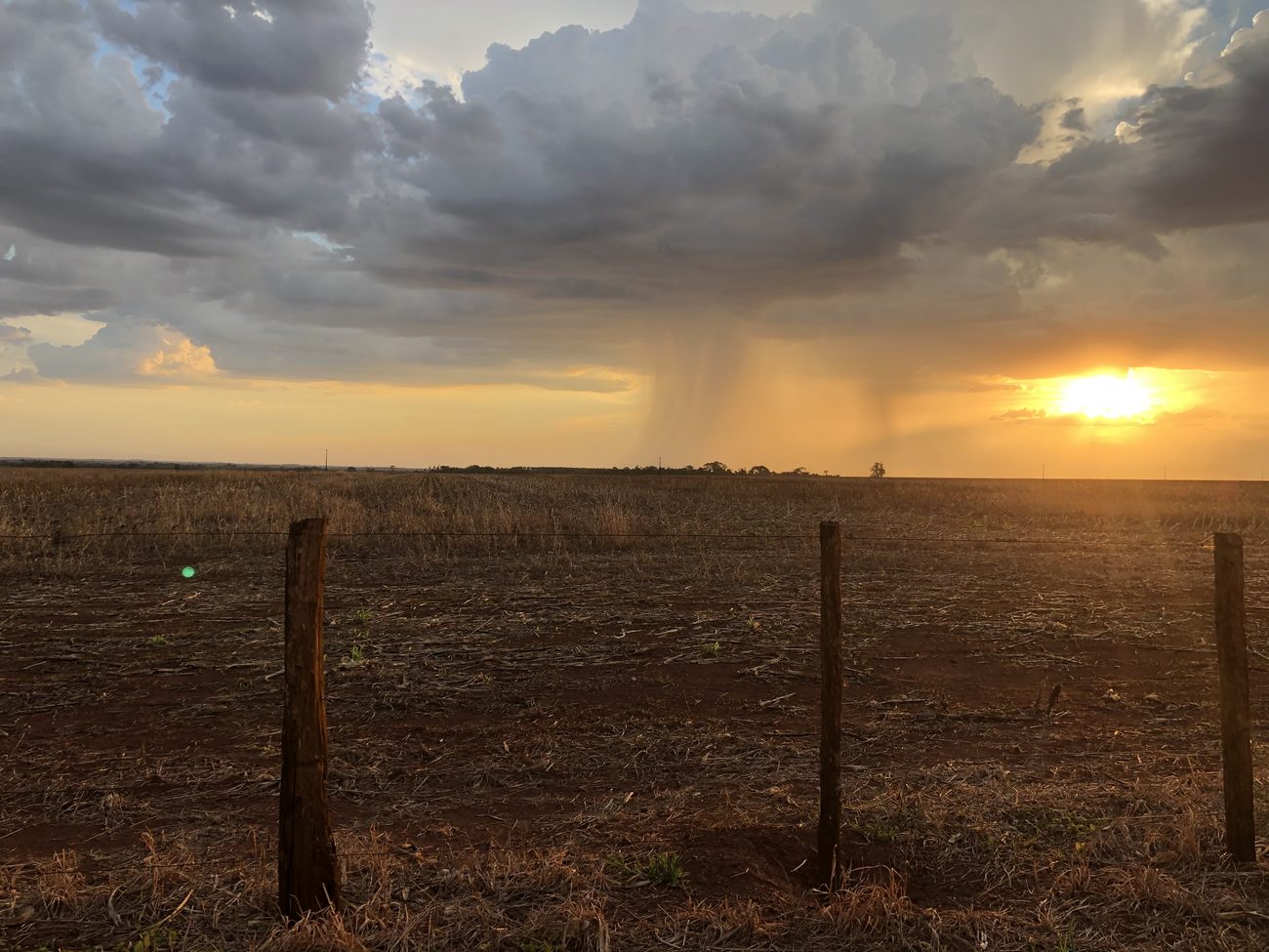 Cortina de chuva isolada caindo sobre o talhão no pôr do sol
