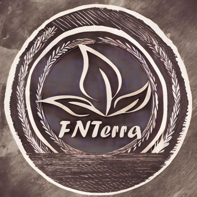 Logo artesanal da FNTerra pintado à mão