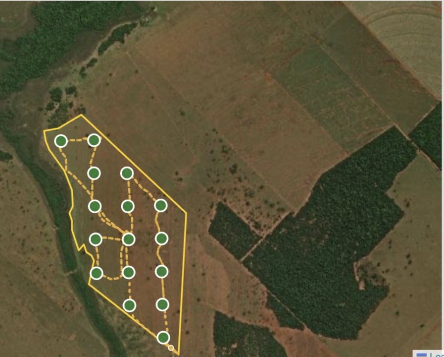 Plano de coleta no TerraAP: grade de pontos e rota sobre o talhão no satélite