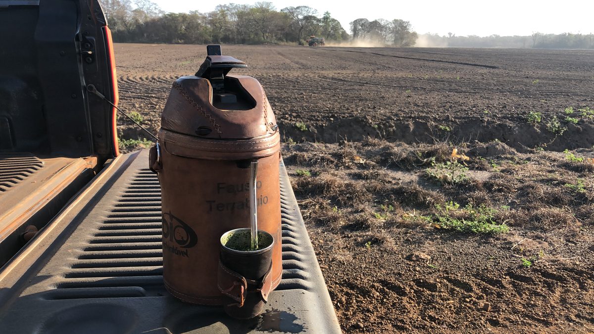 Tereré com o nome Fausto Terrabuio gravado no couro, na caçamba da caminhonete, com o talhão ao fundo